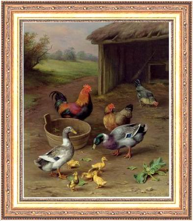 framed  unknow artist Poultry 077, Ta3070-1